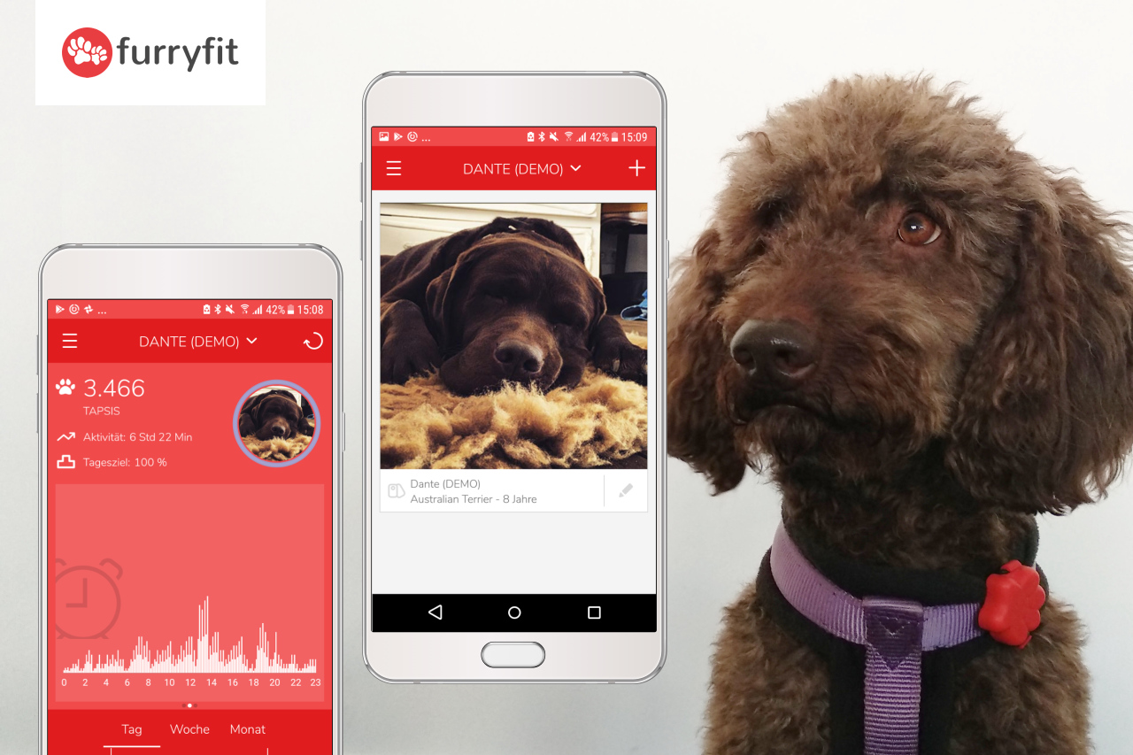 Vorschaubild Furryfit App