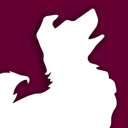 BHV Hundeführerschein App icon