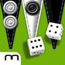 Backgammon Gold App Icon