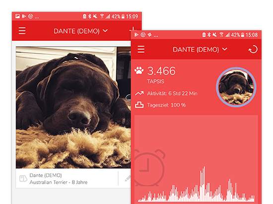 Beispiel Hundeprofil Bilder und Aktivität Screens der umgesetzten Furryfit App für MyWOOFI