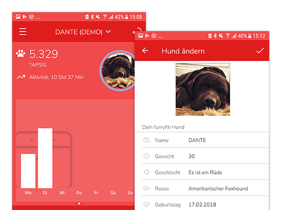 Beispiel Hundeprofil Aktivitätengrafik und Hund ändern Screens der umgesetzten Furryfit App für MyWOOFI