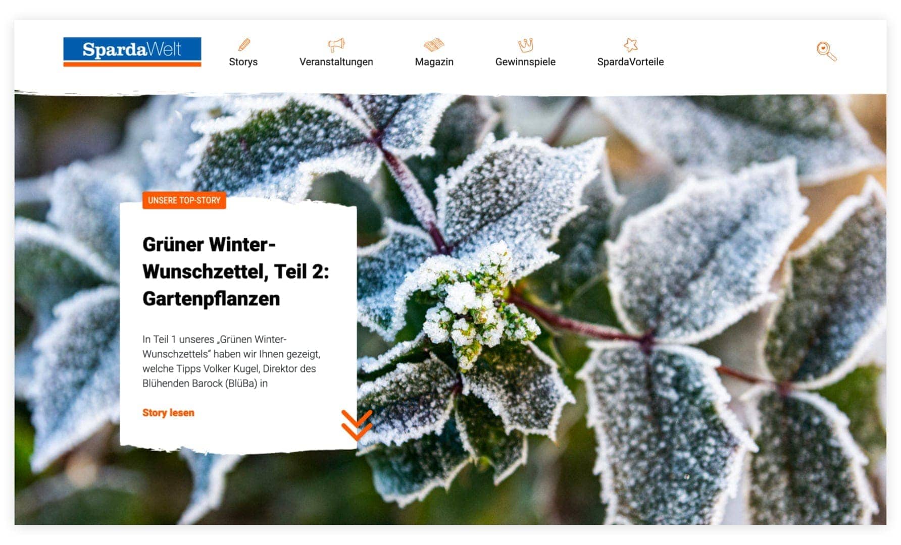 Referenz Spardawelt Website Slider 1